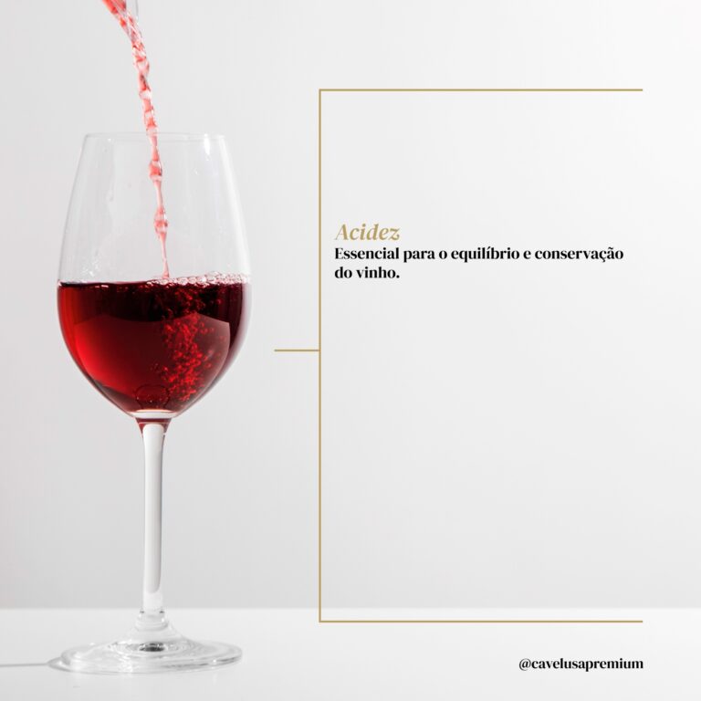 3 - Estrutura do Vinho