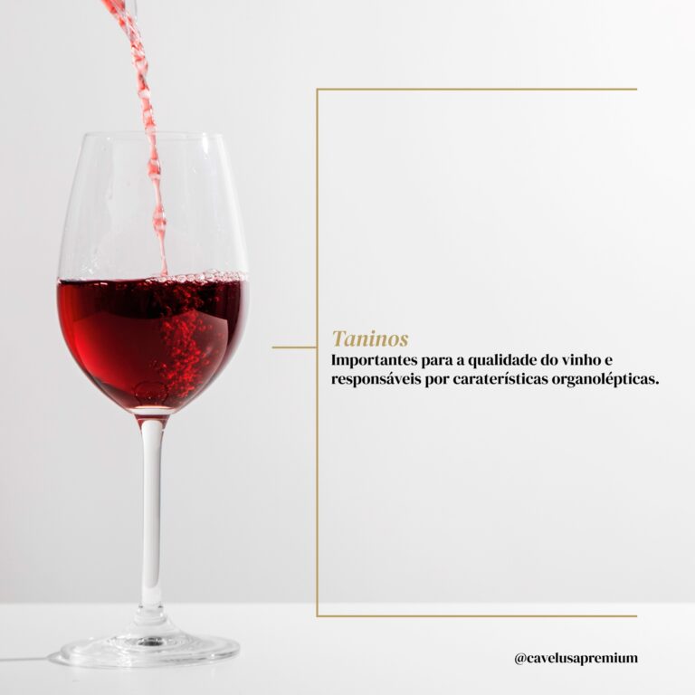 4 - Estrutura do Vinho
