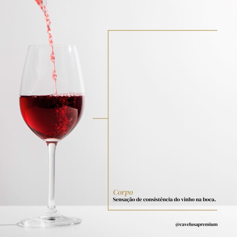 6 - Estrutura do Vinho