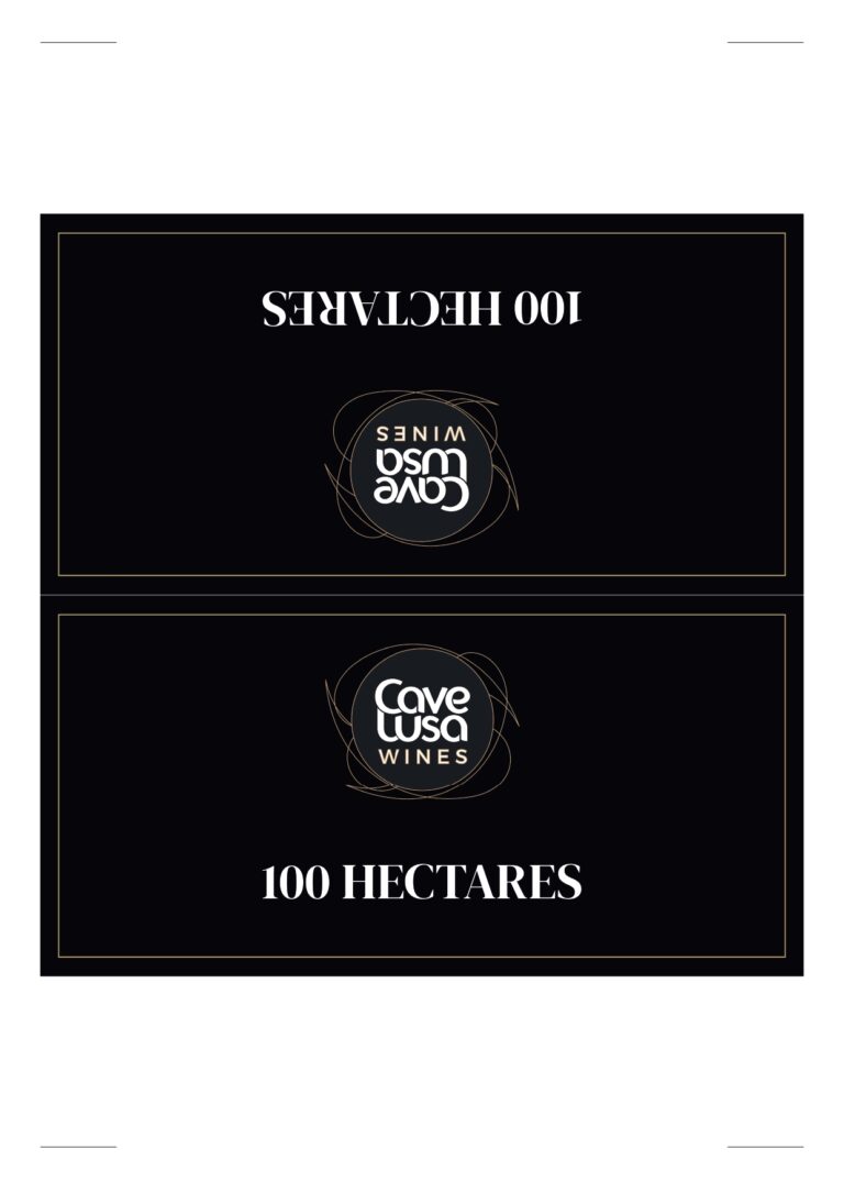 Identificadores de Mesas 2024_organized_page-0001